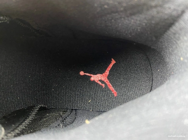 12 130690-002 Jordan Retro (2016) Game Flu 1108